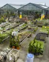 Großer Outdoor Pflanzenbereich mit viel Auswahl für den eigenen Garten