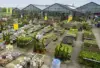 Großer Outdoor Pflanzenbereich mit viel Auswahl für den eigenen Garten