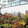 Lüske Ansicht in die Baumschule