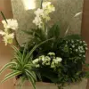 Blumenarrangement mit Pflanzen für innen