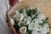 kleiner Strauß weißer Blumen in Papier gehüllt